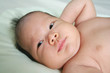 asian baby (serise) asian baby (serise)