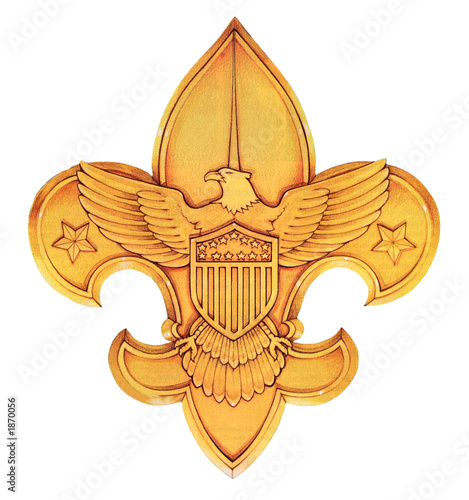 boy scouts emblem. oy scouts of america logo or