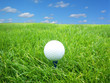 balle de golf