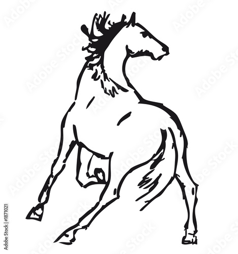 Illustration: wild horse wild horse