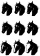 horse head