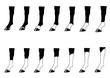 horse leg