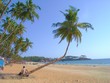 Photo: goa beach goa beach