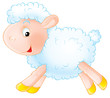 white lamb