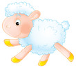 white lamb