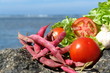legumes legumes
