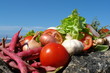 legumes de saison legumes de saison
