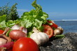 legumes sur fond lagon legumes sur fond lagon