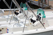 new yacht