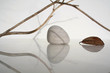 automne zen 2 automne zen 2