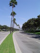 tree lined street 001