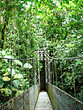hanging bridge