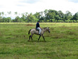 horse and rider