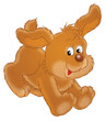 puppy