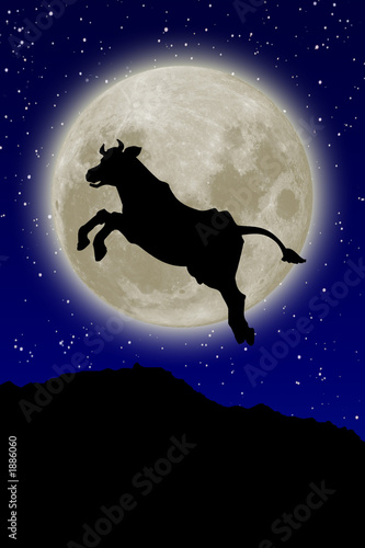 kuh vor vollmond kuh vor vollmond