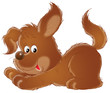 puppy