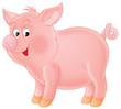 sucking-pig