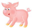 sucking-pig