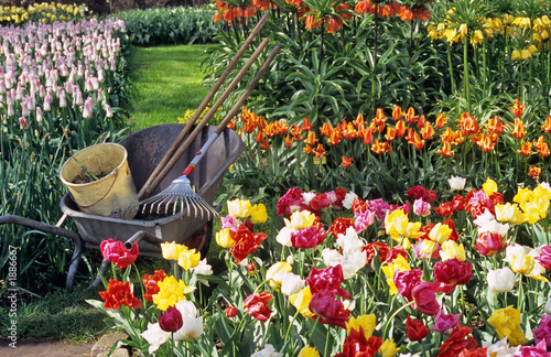 spring bulb gardening