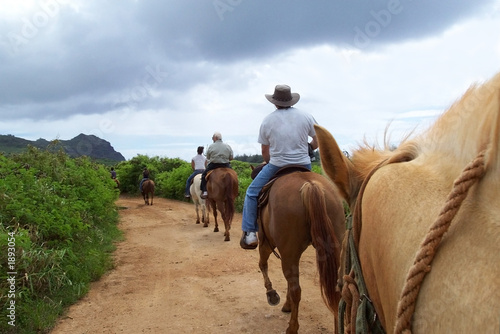 Photo: family on a trail on horseback family on a trail on horseback