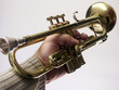 jazztrompete