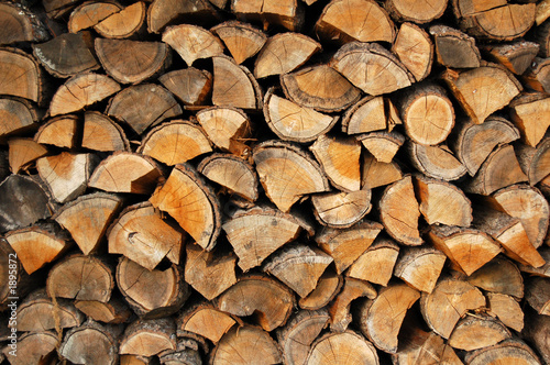 wood