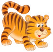 tiger