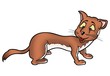 weasel 01