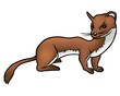 weasel 02