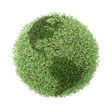 green globe