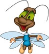 beetle 29