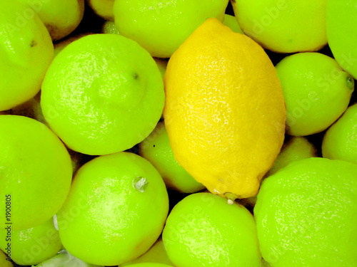 special lemon