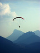 fred 000_0443