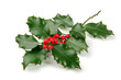 houx noel houx noel