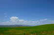 blue and green