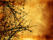 winter background winter background