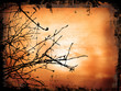 winter background winter background