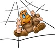 spider 06 spider 06