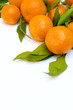 a pile of tangerine branches