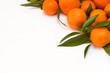 a pile of tangerine branches