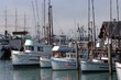 fishing fleet
