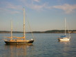 sailboat harbor