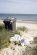 beach litter