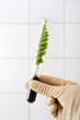 biologie-labor