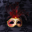 mask at a black velvet seat  (venice, italy)