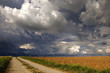 road
