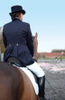 cheval concours