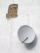 dish