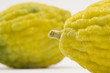 the etrog