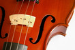 musical instruments: violin closeup showing the br